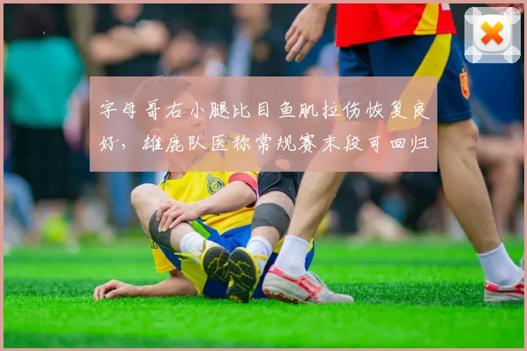字母哥右小腿比目鱼肌拉伤恢复良好,雄鹿队医称常规赛末段可回归