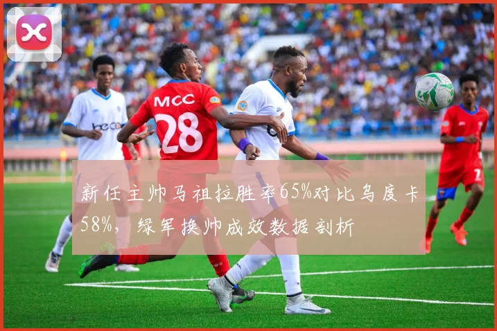 新任主帅马祖拉胜率65%对比乌度卡58%,绿军换帅成效数据剖析